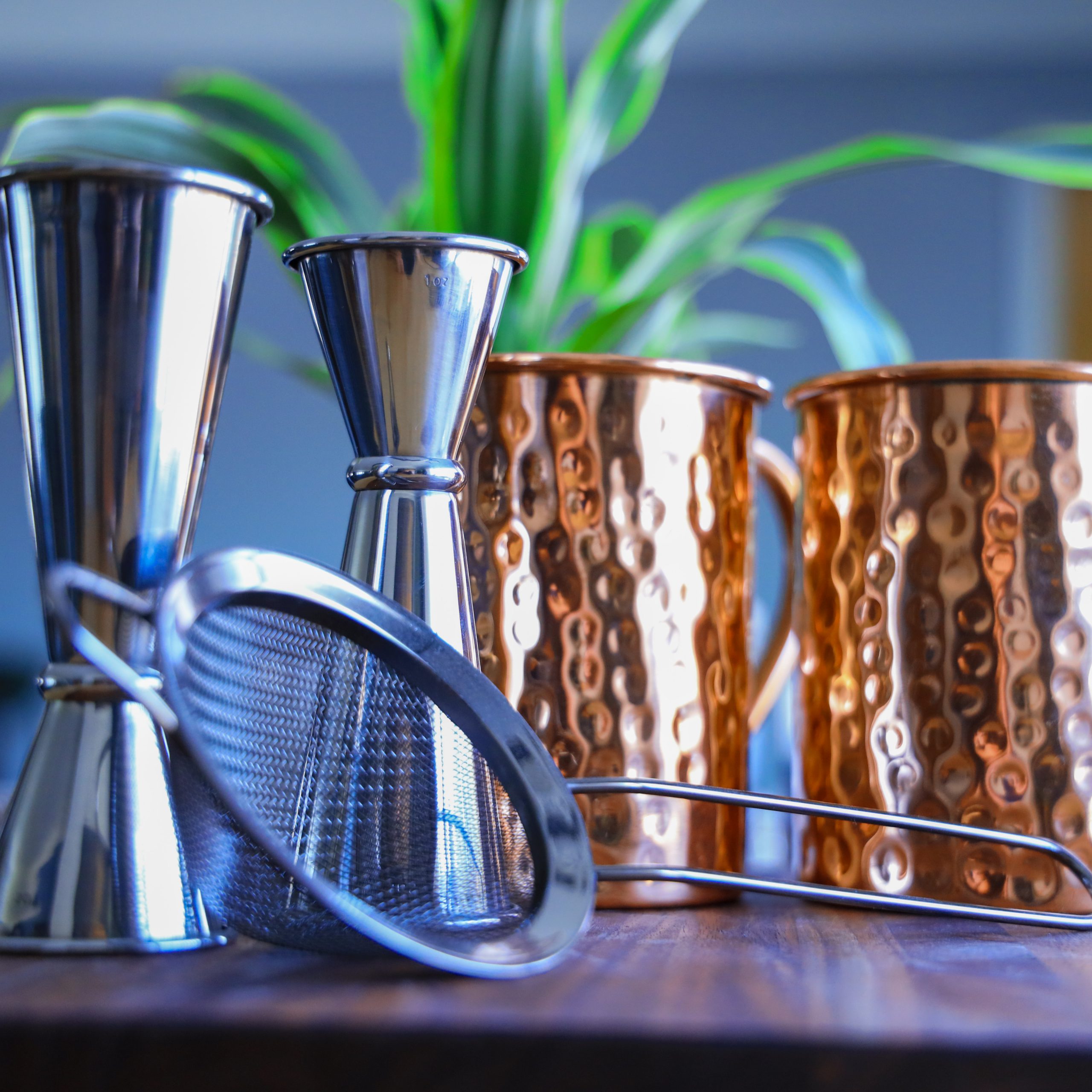 Two jiggers and two copper mule mugs with strainer in front of plant