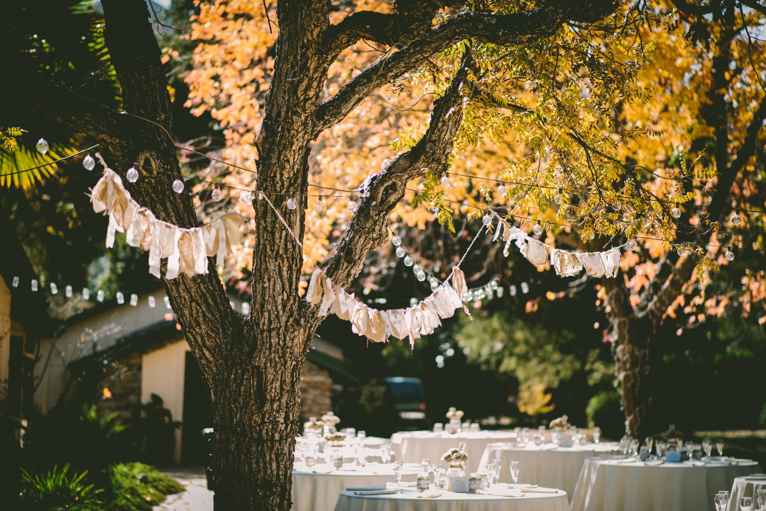 Backyard wedding with hanging lights above tables decorated for a wedding reception.